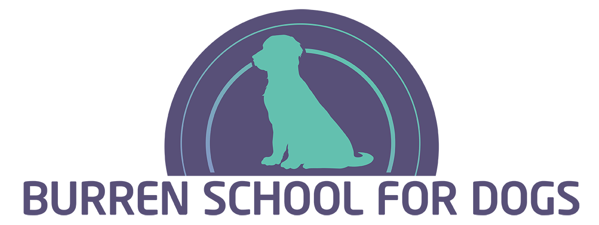 Burren School for Dogs