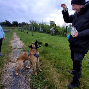 Dog Training Group €165