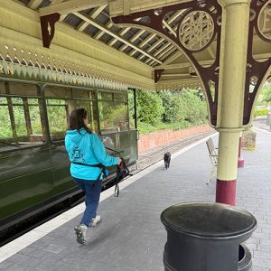 Mantrailing –K9 Detect and Find Certified Trainers & The College of Scent Dogs From €65