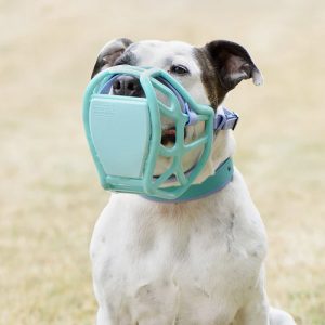 Coloured strapping bundle