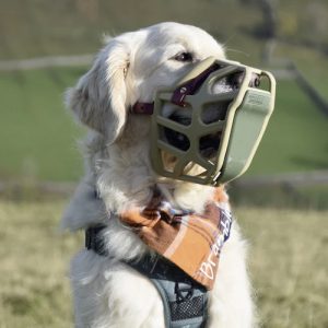The Muzzle Movement
